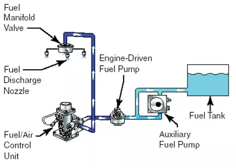 Module 6 Lesson 14 Fig.14.1