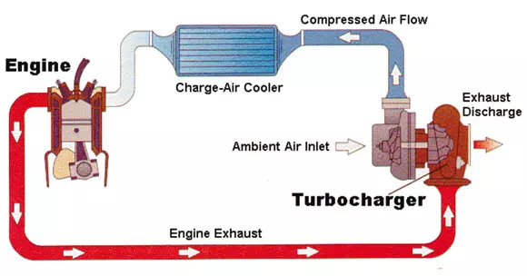 Module 6 Lesson 15 Fig.15.1