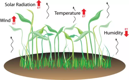 Description: Description: Effects of solar radiation, wind, temperature, and humidity on evapotranspiration