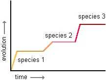 graph of punctuated equilibrium--short periods of rapid change interspersed with longer periods of no change