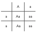 Punnett square with heterozygous (Aa) and homozygous recessive parents (aa)