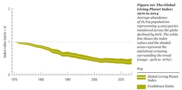 http://www.mathisintheair.com/eng/wp-content/uploads/2018/12/wwf_graph-1024x508.webp