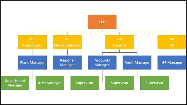 Functional Organization Structure