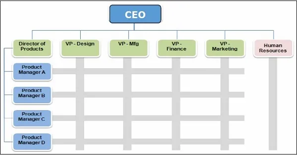 Matrix Organizational Structure