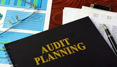 Audit Planning