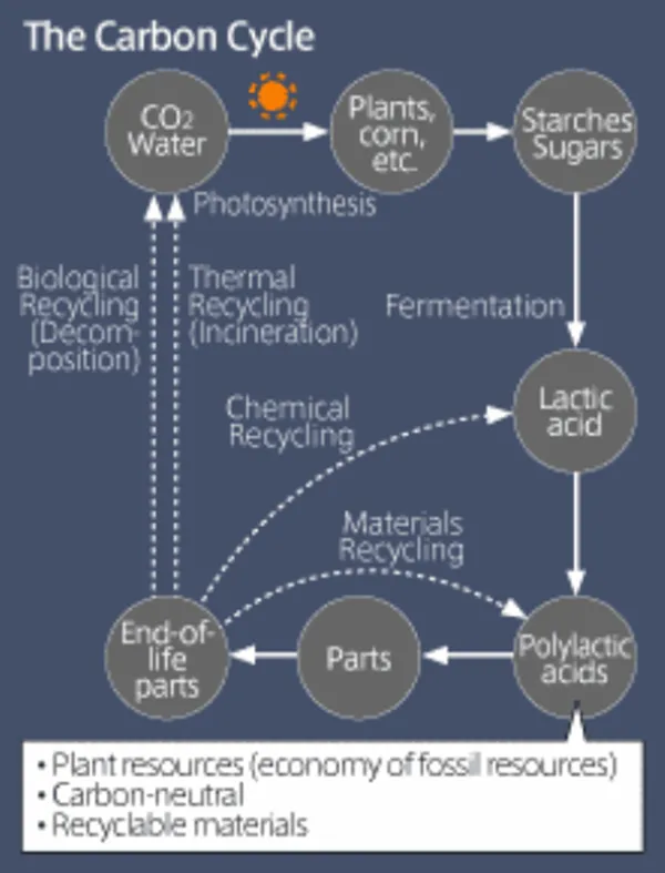 Title: 01-bio tech materials-the carbon cycle-bioplastic decomposition-Co2 levels-co2 emissions - Description: 01-bio tech materials-the carbon cycle-bioplastic decomposition-Co2 levels-co2 emissions