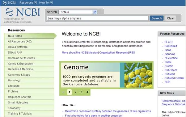 http://abacus.bates.edu/bioinformatics1/screenshots/NCBI-1.webp