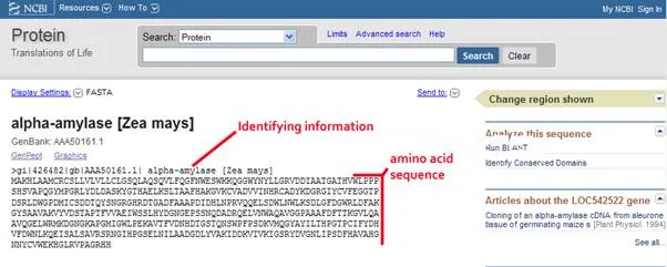 http://abacus.bates.edu/bioinformatics1/screenshots/NCBI-5-FASTA.webp