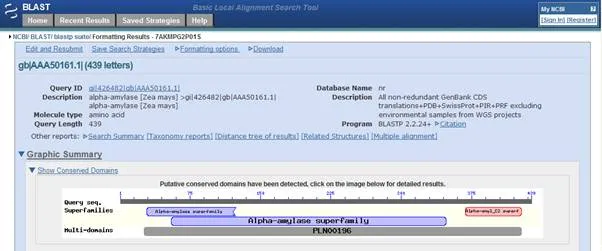 http://abacus.bates.edu/bioinformatics1/screenshots/NCBI-7-BLAST-result-1.webp