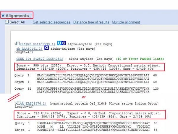 http://abacus.bates.edu/bioinformatics1/screenshots/NCBI-10-BLAST-result-4.webp