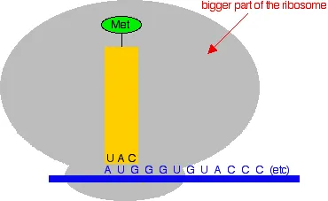 https://chem.libretexts.org/@api/deki/files/18324/translate2.webp?revision=1&size=bestfit&width=370&height=227