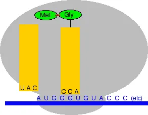 https://chem.libretexts.org/@api/deki/files/18328/translate4.webp?revision=1&size=bestfit&width=293&height=227