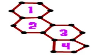 Steroid Molecules