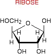 https://chem.libretexts.org/@api/deki/files/18284/ribose.webp?revision=1&size=bestfit&width=104&height=113