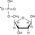 https://chem.libretexts.org/@api/deki/files/18287/phossugar.webp?revision=1&size=bestfit&width=136&height=134