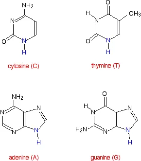 https://chem.libretexts.org/@api/deki/files/18289/ctag.webp?revision=1&size=bestfit&width=290&height=331