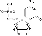 https://chem.libretexts.org/@api/deki/files/18290/nucleotide2.webp?revision=1&size=bestfit&width=170&height=147