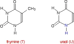 https://chem.libretexts.org/@api/deki/files/18304/tvu.webp?revision=1&size=bestfit&width=237&height=142