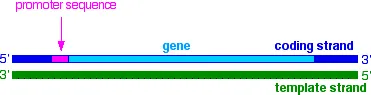 https://chem.libretexts.org/@api/deki/files/18310/transcribe1.webp?revision=1&size=bestfit&width=371&height=95