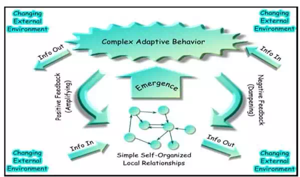 Complex Adaptive System Model