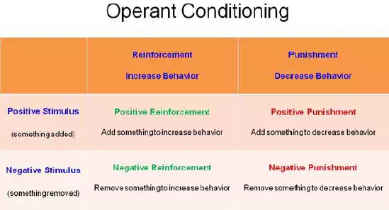 Operant Conditioning Theory