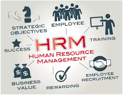 Organizational and HRM Strategy