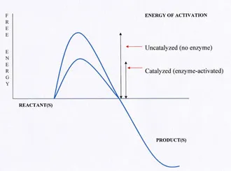 Energy of Activation