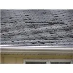 ORGANIC shingles