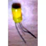 Buzzer Coil, Image