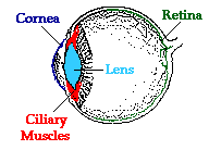 http://www.physicsclassroom.com/Class/refrn/u14l6b1.webp