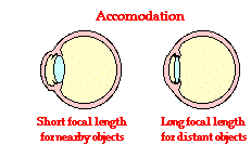 http://www.physicsclassroom.com/Class/refrn/u14l6c1.webp