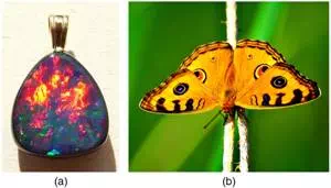 Colorful photos of an Australian opal and a butterfly. The opal is full of fiery reds and yellows and deep blues and purples. The butterfly has its yellow wings spread and you can see its characteristic red, blue, and black spots and fringing.