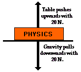 http://www.physicsclassroom.com/Class/newtlaws/u2l2a4.webp