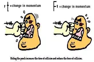 http://www.physicsclassroom.com/Class/momentum/u4l1c7.webp