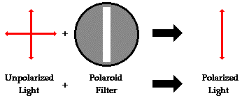 http://www.physicsclassroom.com/Class/light/u12l1e2.webp