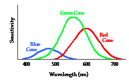 http://www.physicsclassroom.com/Class/light/u12l2b2.webp