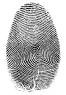 https://sites.google.com/site/magicofforensicscience/_/rsrc/1247410907531/lesson-1/fingerprint.webp?height=96&width=66