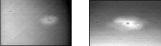 Description: Figure 10: Thermal images of 12.75J impact damage in a panel sample (left) & in a sandwich sample (right) taken 0.5s after flash heating.