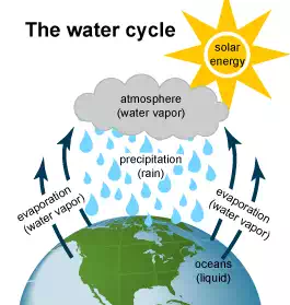 Description: Description: Image of the water cycle. Solar energy heats water on the surface, causing it to evaporate.

This water vapor condenses into clouds and falls back onto the surface as precipitation.

The water flows through rivers back into the oceans, where it can evaporate and begin the cycle over again.