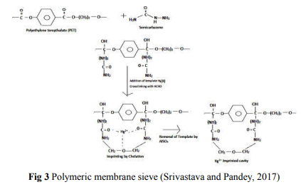 Diagram

Description automatically generated