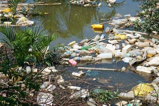 Description: plastic pollution