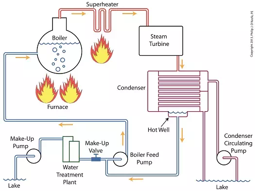 Power Plant Engineering Expert Witness