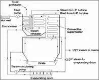 Description: loeffler-boilers