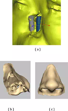 media/Figure 4.webp