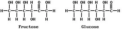 Organic Chemistry: Carbohydrates and proteins. (Compton's 17:604) Fructose and Glucose.