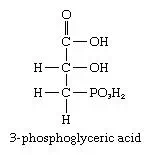 Carbohydrates. Formula for 3-phosphoglyceric acid, a chemical created during photosynthesis in plants