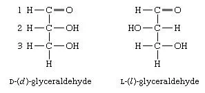 Carbohydrates. Formulas for the two isomers of glyceraldehyde: D-(d)-glyceraldehyde and L-(l)-glyceraldehyde