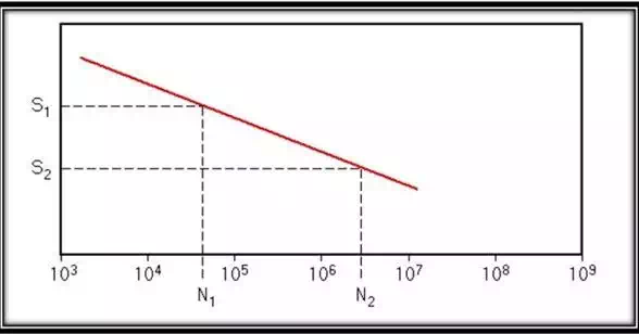 5.webp