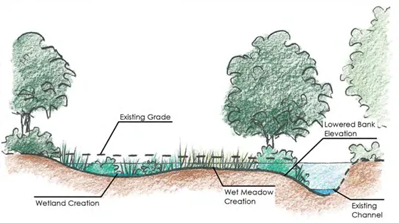 https://www.princetonhydro.com/blog/wp-content/uploads/2018/12/Floodplain-Storage-and-Reconnection.webp