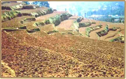 http://agritech.tnau.ac.in/agriculture/agri_watershed_watershedmgt_clip_image019_0000.webp